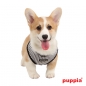 Puppia Neogen Harness PAMA-AC109