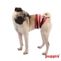 Puppia Ocean Mist Manner Band PAMA-MB959