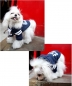 Puppy Angel Hundesweater Just for you PA-TS214(Details)