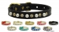 Dog Collar