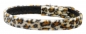 Animal Jaguar Hundehalsband (Details)