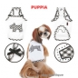 PUPPIA Shirt Lattice PAJB-TS607(Details)