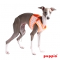 Puppia Harness Cosmic Jacket PAOA-AH1232