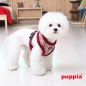 Puppia Softgeschirr OZ PAPD-AC1359(Details)