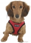 PUPPIA Soft Harness rot PDCF-AC30(Details)
