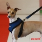 PUPPIA Soft Harness royalblau PDCF-AC30(Details)