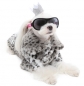 Puppy Angel Agatha Animal Coat PA-OW210GR/SM