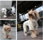 Puppyangel Hundeoverall Luxury Jogging Suit[Details]