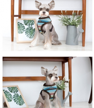 pumpkin laxative for dogs