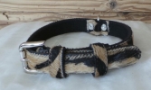 Dog collar Wild Zebra