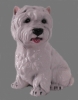 Westie Dog