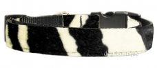 Dog Collar Animal Print