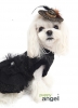 Puppy Angel Haarspange Noble Queen PA-CA303(Details)